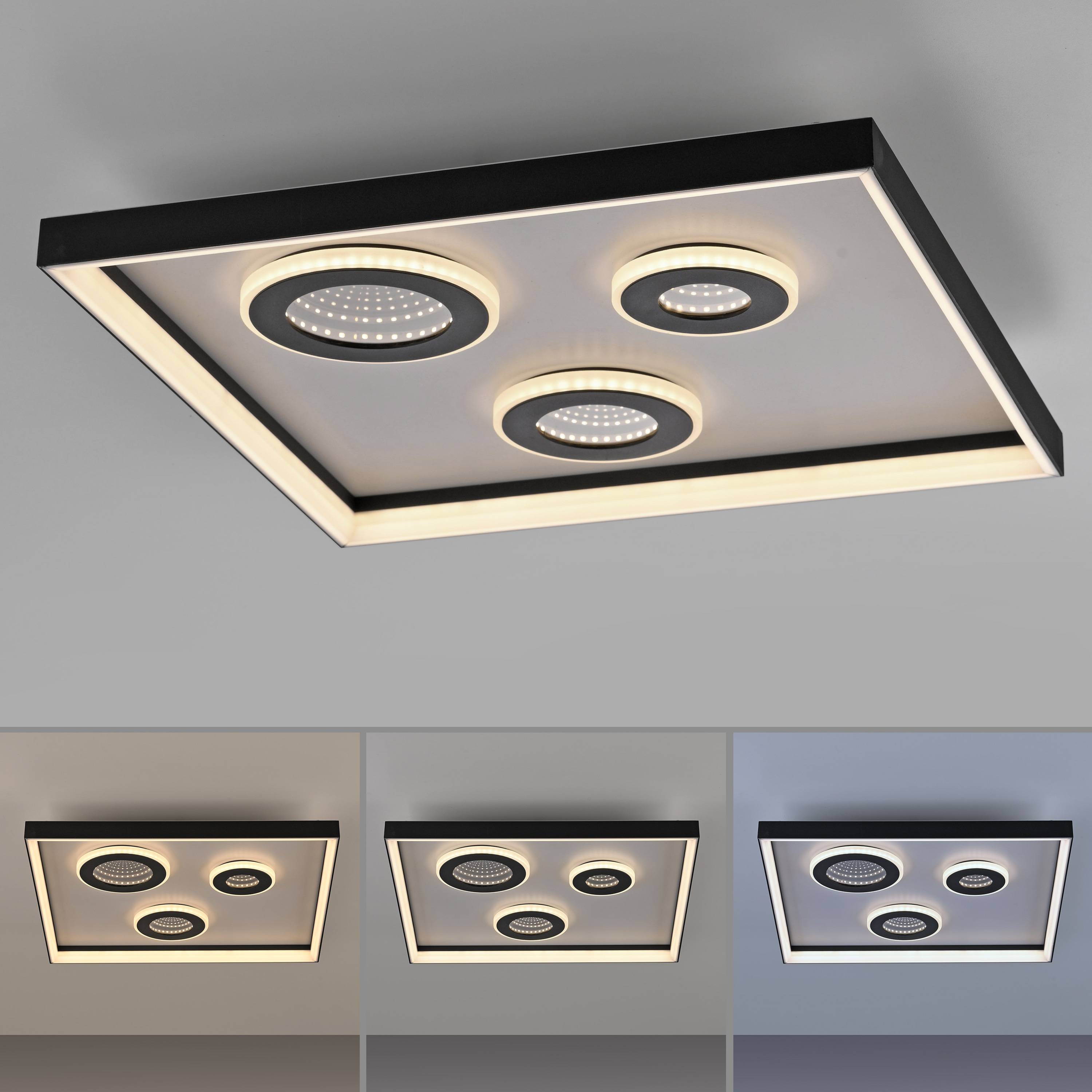 PAUL NEUHAUS LED-Deckenleuchte 6856-18 schwarz, 32 W, 4000 lm, CCT, Fernbedienung-4