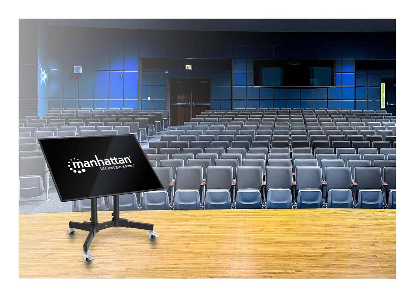 Wagen - für flat panel / LCD display - kompakt, höhenverstellbar - Stahl - Schwa-1