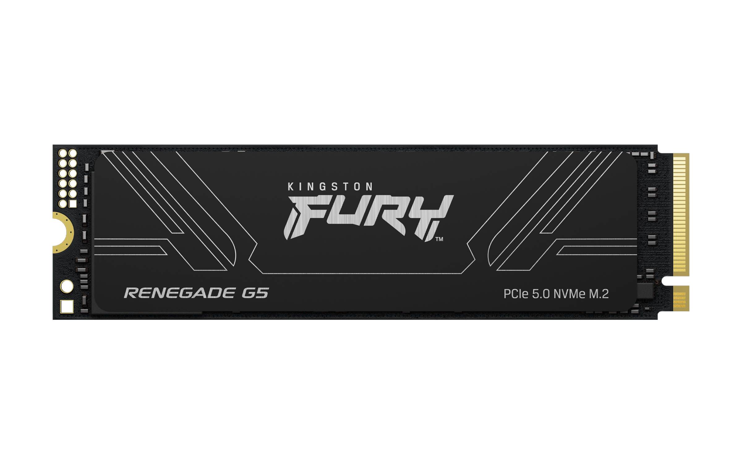 Kingston Technology FURY Renegade G5 SSDs Interne-3