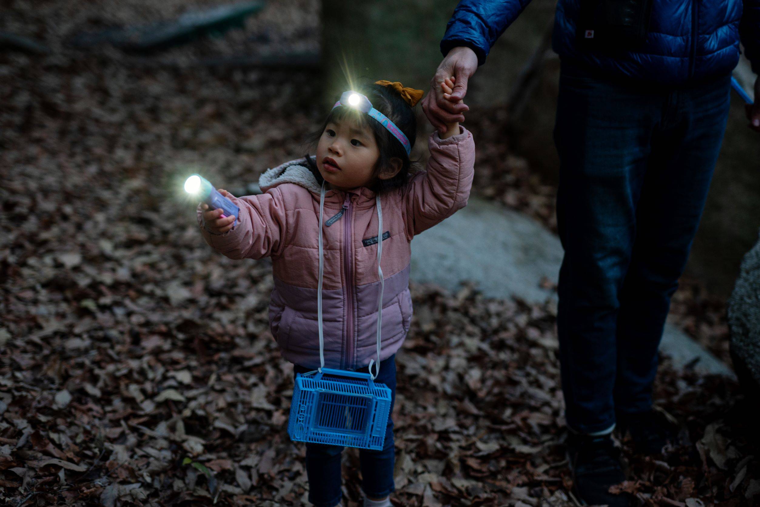 LED LENSER® Kinderlampe Kidbeam4 purple-2