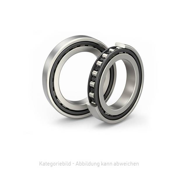 INA SL04260-D-PP, Vollrolliges-Zylinderrollenlager, 2-reihig, beids. Lippendichtung