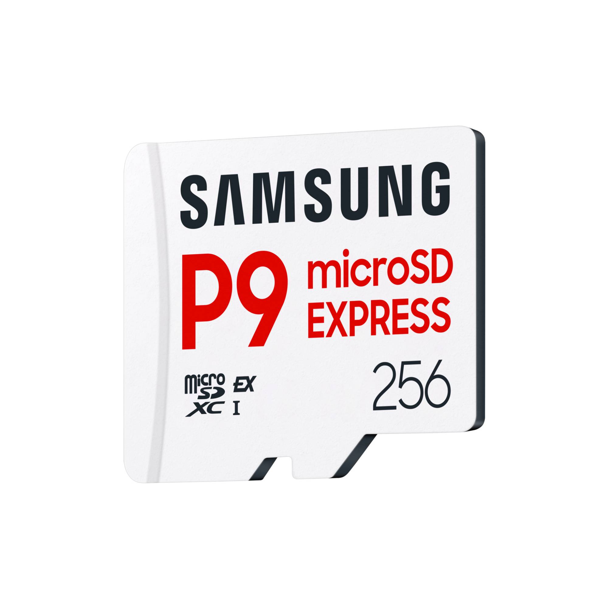 Samsung P9 Express MB-MK256T - Flash-Speicherkarte-3