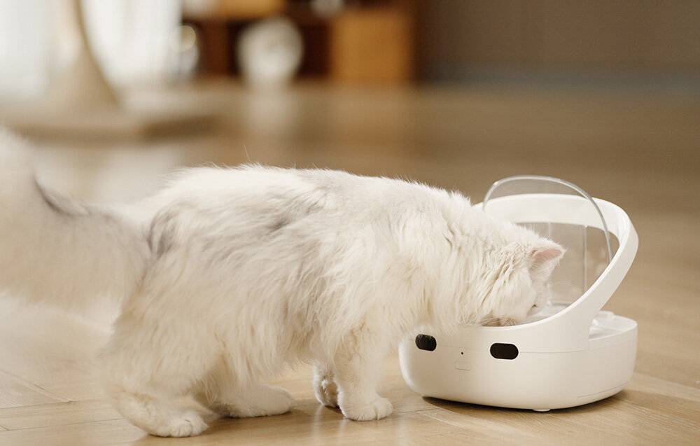 Preisbild für Petoneer NutriCare intelligenter Futterspender