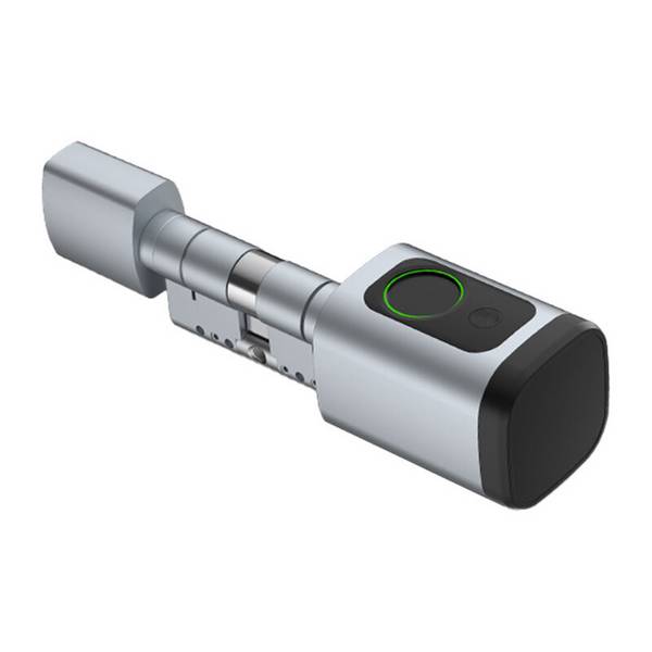 Avatto SDL-V1-S70 70 mm silberner digitaler Schließzylinder