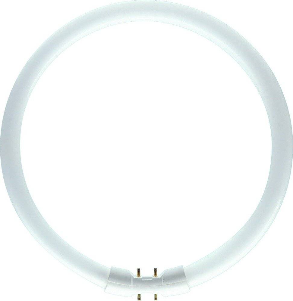 Philips MASTER TL5C rund 22W - 830 Warmweiß | 22cm-4