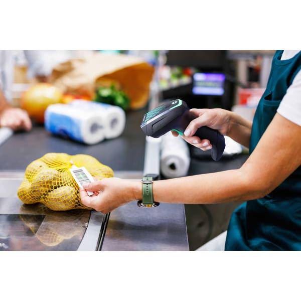 Datalogic Gryphon GBT4600 - Barcode-Scanner-2
