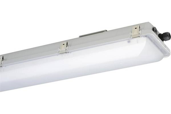 SCHUCH Ex-Wannenleuchte IP66 e865F 12L60 Zone 1/21/2/22 40W 6020lm 65K 1250mm sat Innenleuchten