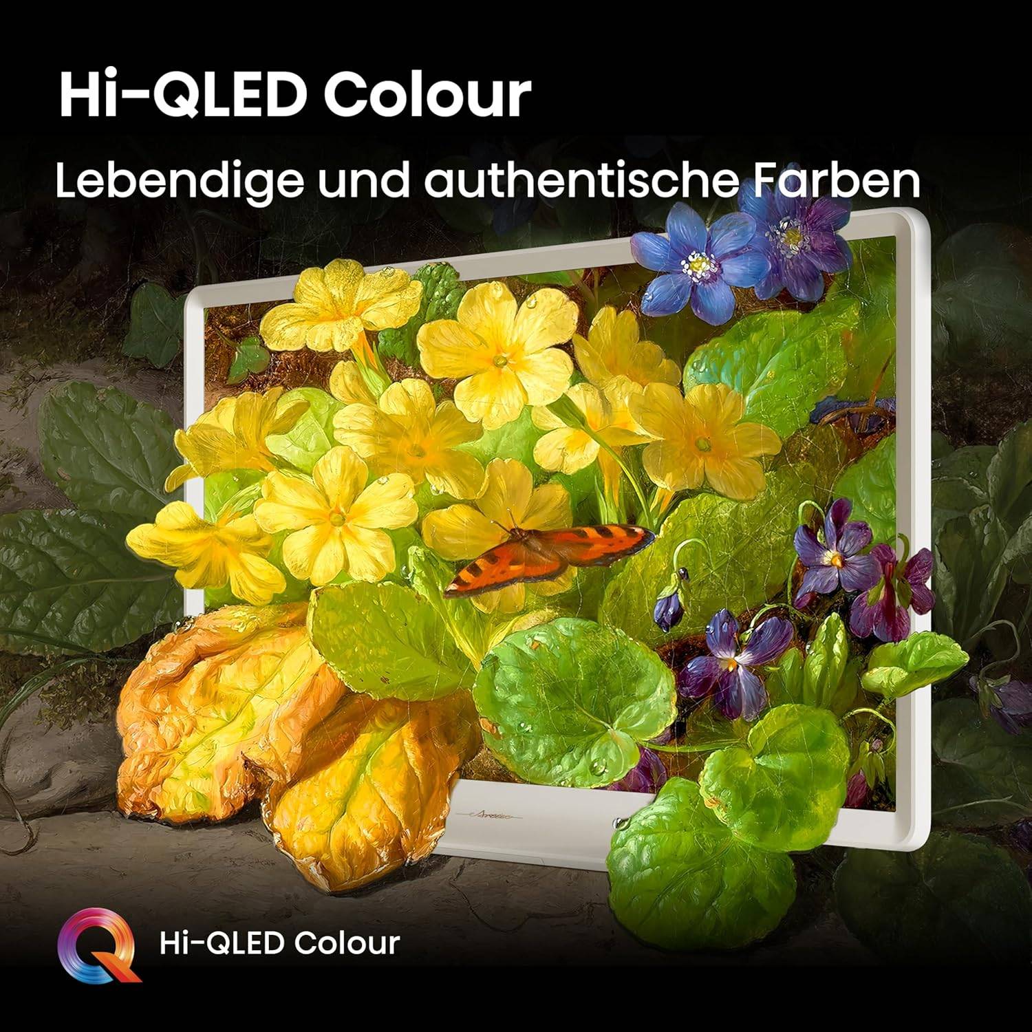 Hisense TV 32S5Q 32 Full HD QLED - LCD-TV - 81,3 cm-4
