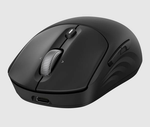 HP 700 Rechargeable Mouse - Maus - kabellos