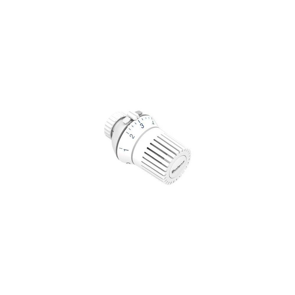 Buderus Thermostatkopf BH2-F, Fernfühler M30x1,5mm, 2m, mit Nullstellung-0