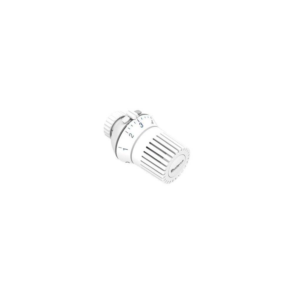 Buderus Thermostatkopf BH2-F, Fernfühler M30x1,5mm, 2m, mit Nullstellung-1