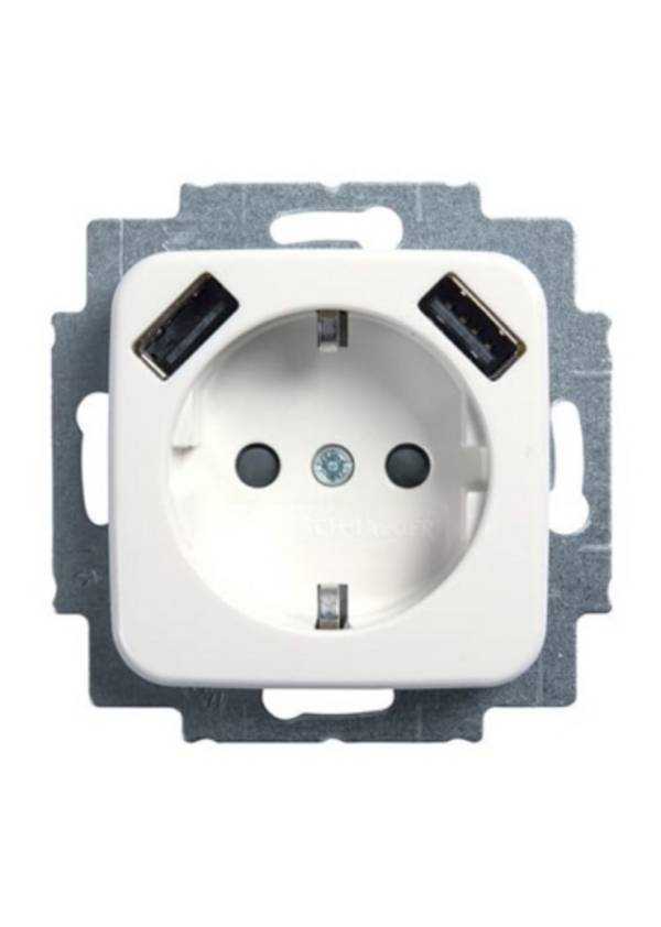 Busch-Jaeger 2CKA002011A6264 20 EUCB2USB-214 2x USB Doppelsteckdose SCHUKO