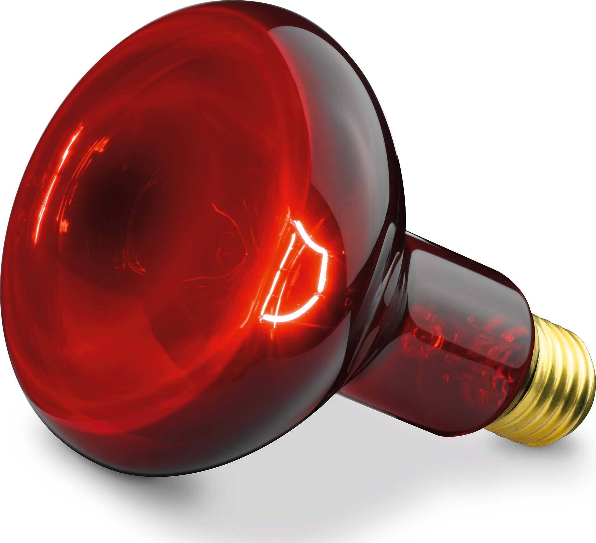 BEURER - Infrarotlampe IL 11 Ersatzstrahler-2