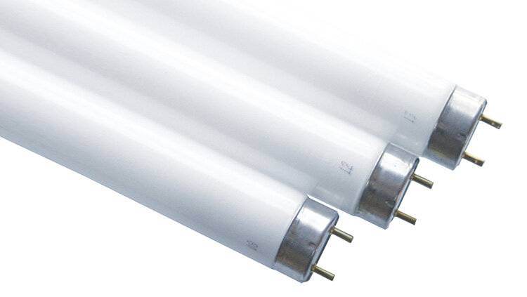 Scharnberger+Hasenbein Leuchtstofflampe T8 44181-2