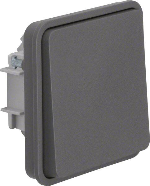 Berker 6130763515, Tasten, Grau, 10 Stück(e), 250 V, 10 A-2