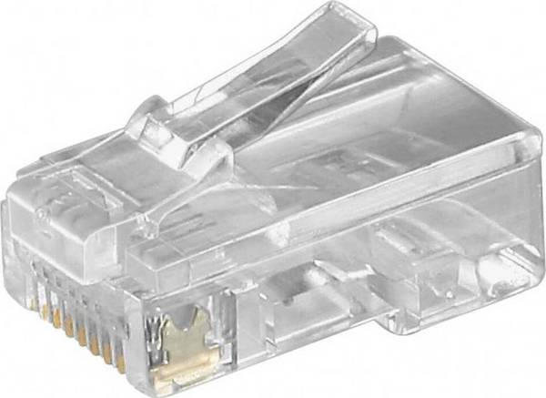 Wentronic RJ45-Stecker Flachkabel St,8polig 50252