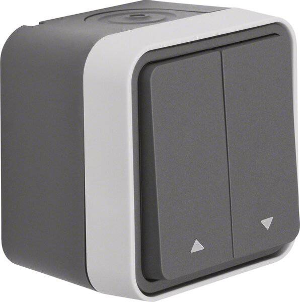 Berker 30753525, Wippschalter, 1P, Grau, IP55, CE, 250 V-2