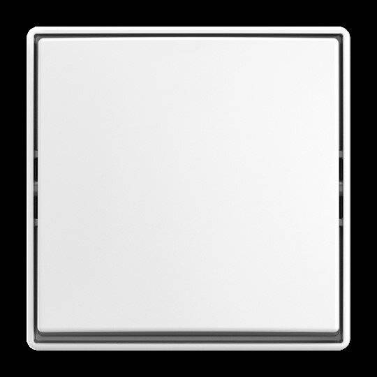 BUSCH JAEGER - Wippschalter AP 2601/6 J-524 (2TKA00005521)-2