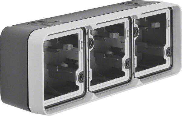 Berker 6019303505, Grau, Berker, Matte, 1 Stück(e)-2