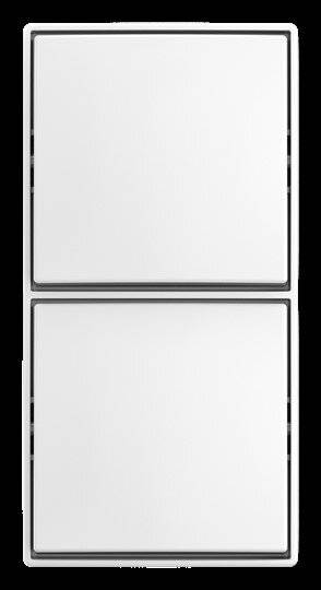 Busch-Jaeger Kombi Schalter/Schalter AP-1