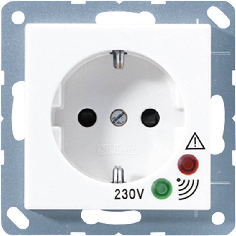 Jung SCHUKO-Steckdose A 521 UF WW-2