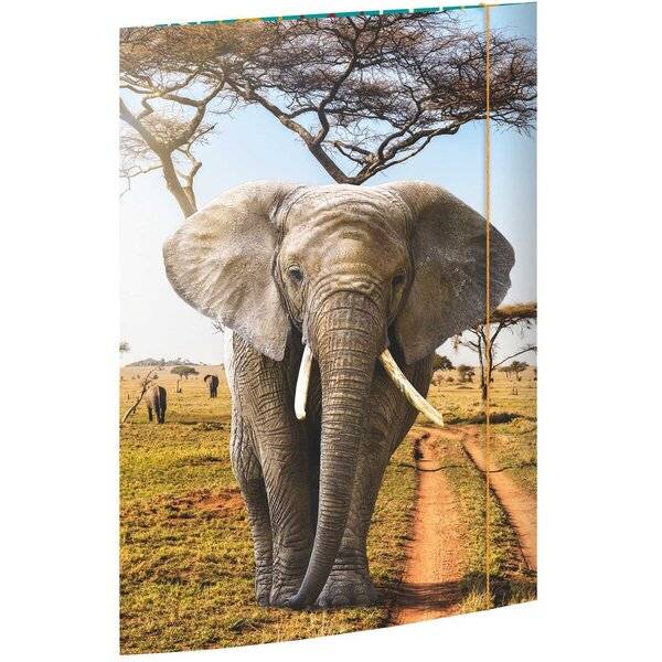 Gummizugmappe - A3 Elefant.