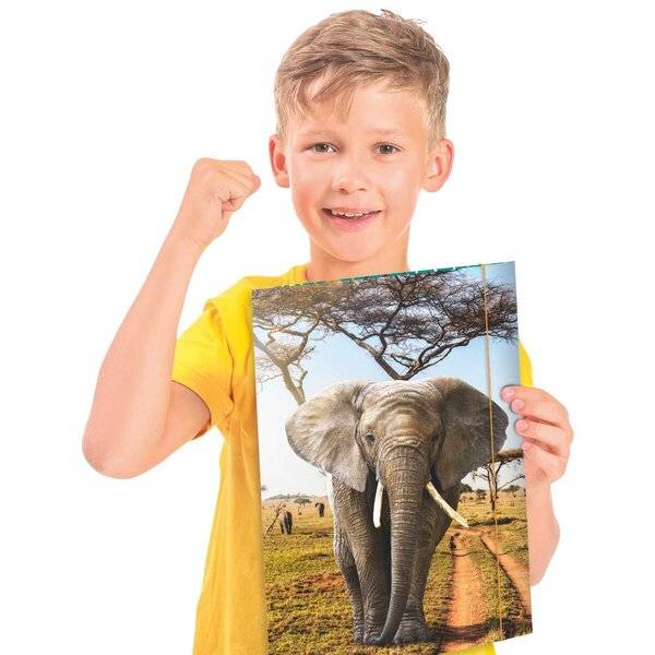 Gummizugmappe - A3 Elefant.-1