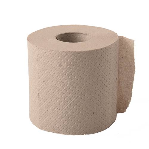 48 Rollen Toilettenpapier Tissue 10 cm x 9,5 cm hellbraun "soft" 2-lagig, 300 Blatt, Recycling-0