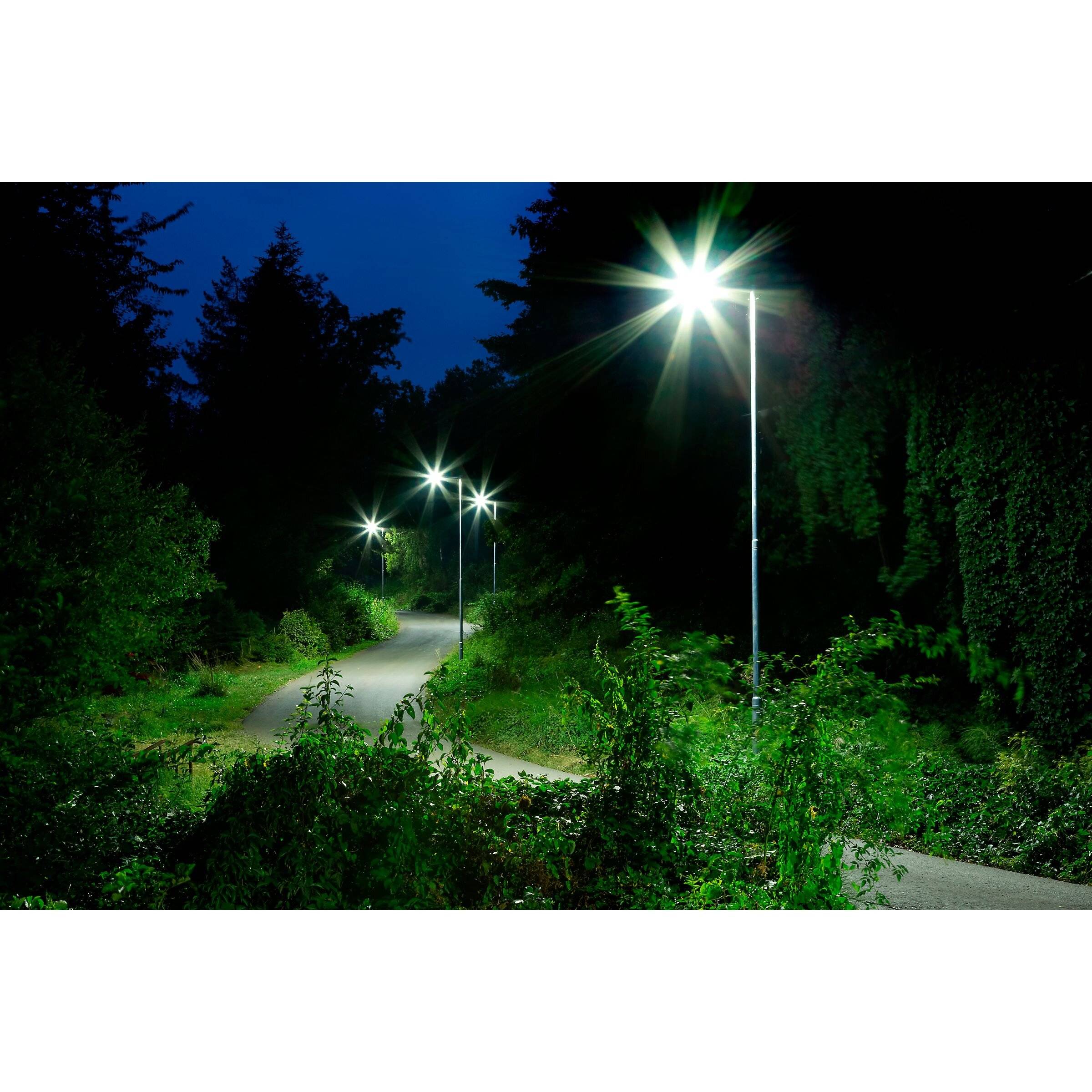 Symbolbild für Philips Lighting LED-Lampe E27 TForce Cor