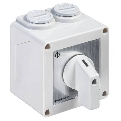 Kraus & Naimer Ausschalter, 2-polig, 60°, AP-Gehäuse IP65, Ith=20A, P=5,5 kW (AC3, 400V AC), 2x2,5 mm², 1 Stk.-0