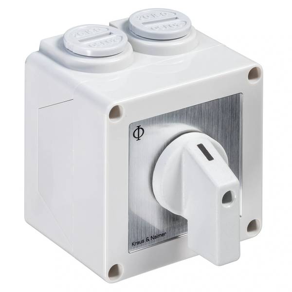 Kraus & Naimer Ausschalter, 2-polig, 60°, AP-Gehäuse IP65, Ith=20A, P=5,5 kW (AC3, 400V AC), 2x2,5 mm², 1 Stk.