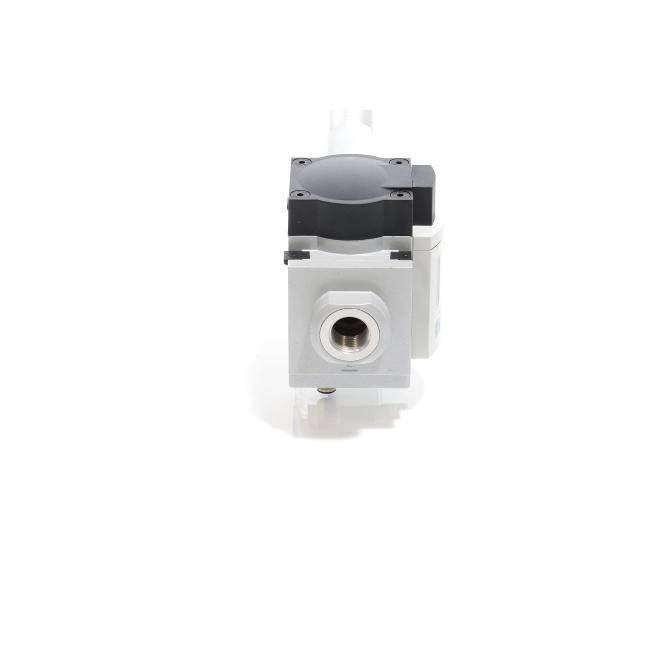FESTO Durchflusssensor 563796 (SFAM-62-3000R-WG12-2SA-M12)-1