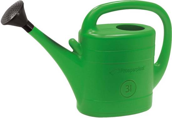 PROSPERPLAST Giesskanne Spring 3l grün