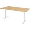 Arbeitstisch elektrisch höhenverstellbar - Tragkraft 100 kg 650 - 1300 mm BxT 2000 x 900 mm Buche massiv. Rau