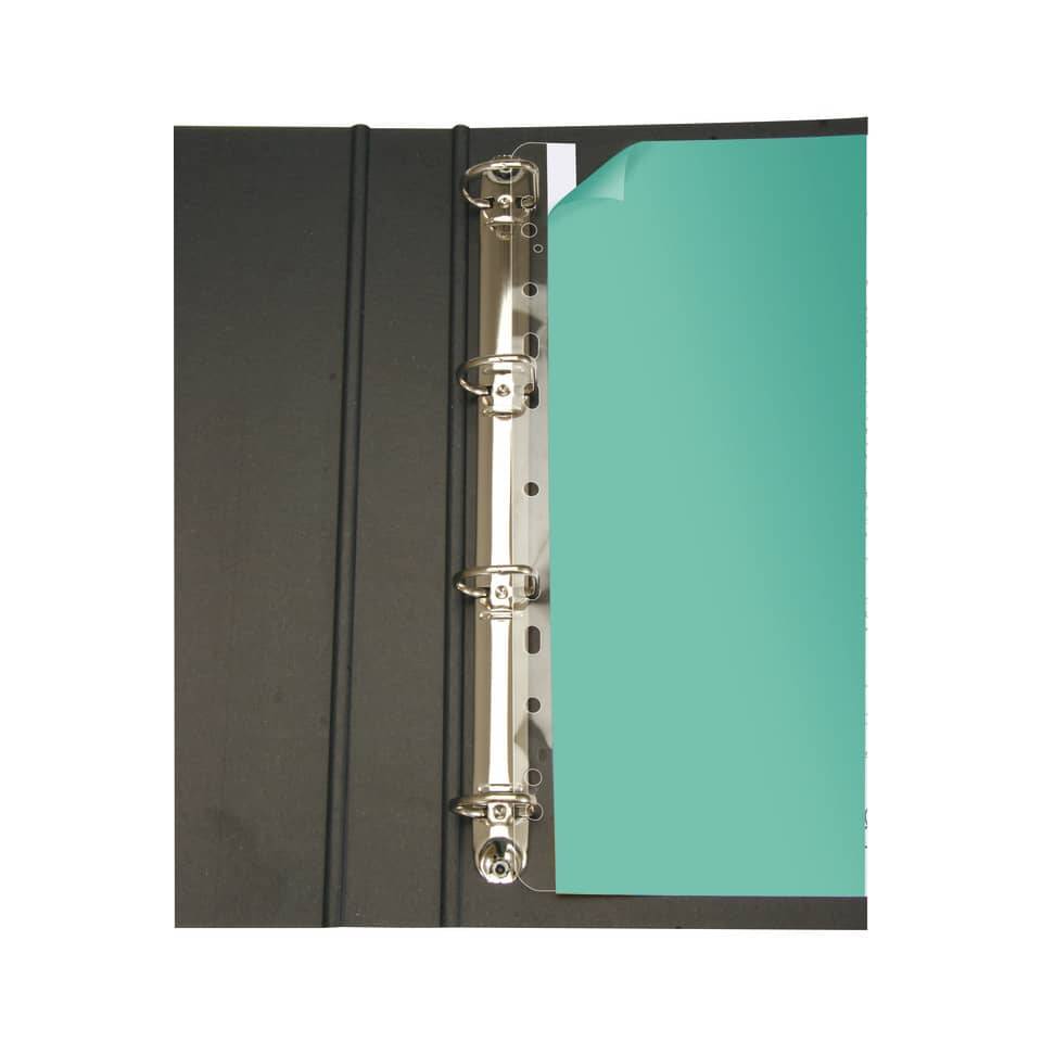 Abheftstreifen mit Universallochung - A4, 29,5 cm lang, 100-4