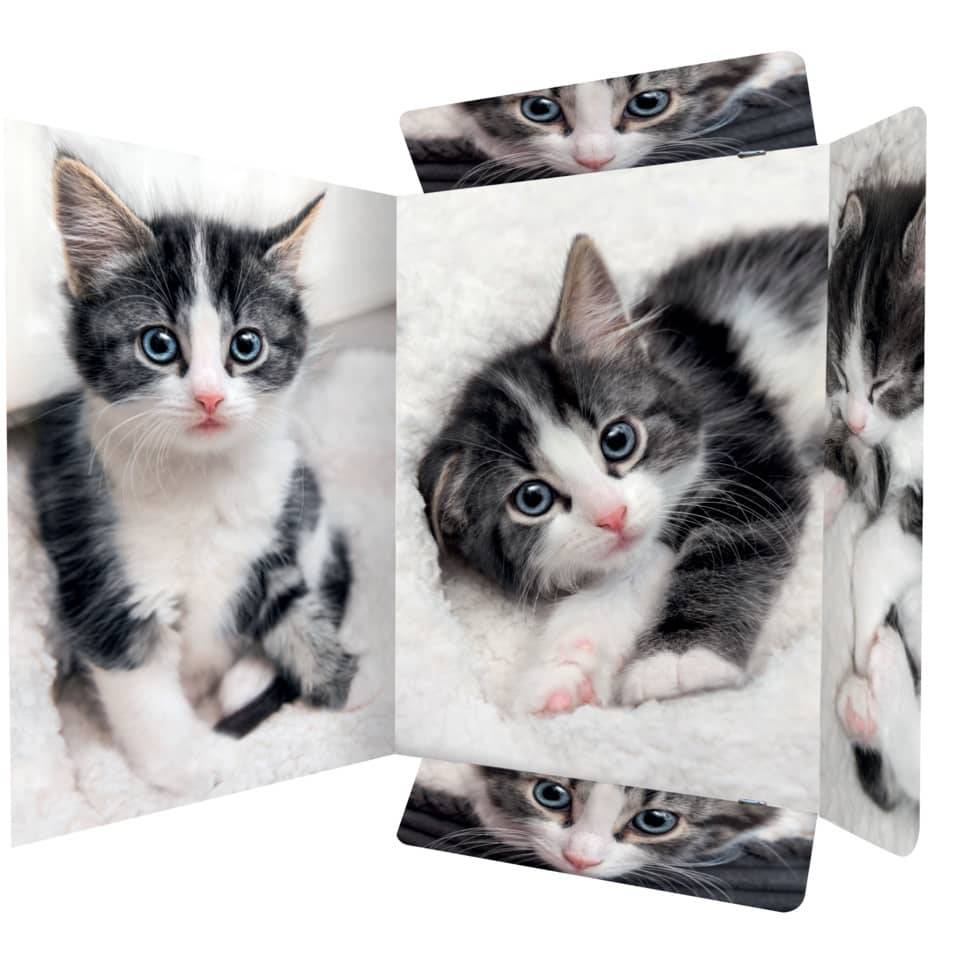 RNK Verlag Zeichnungsmappe "Katze", DIN A3 (6530406)-1