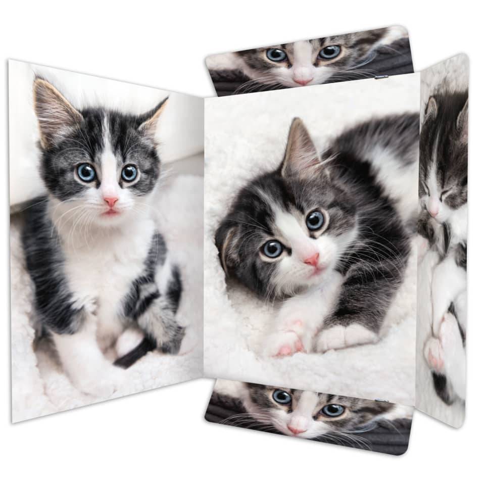 RNK Verlag Zeichnungsmappe "Katze", DIN A3 (6530406)-2