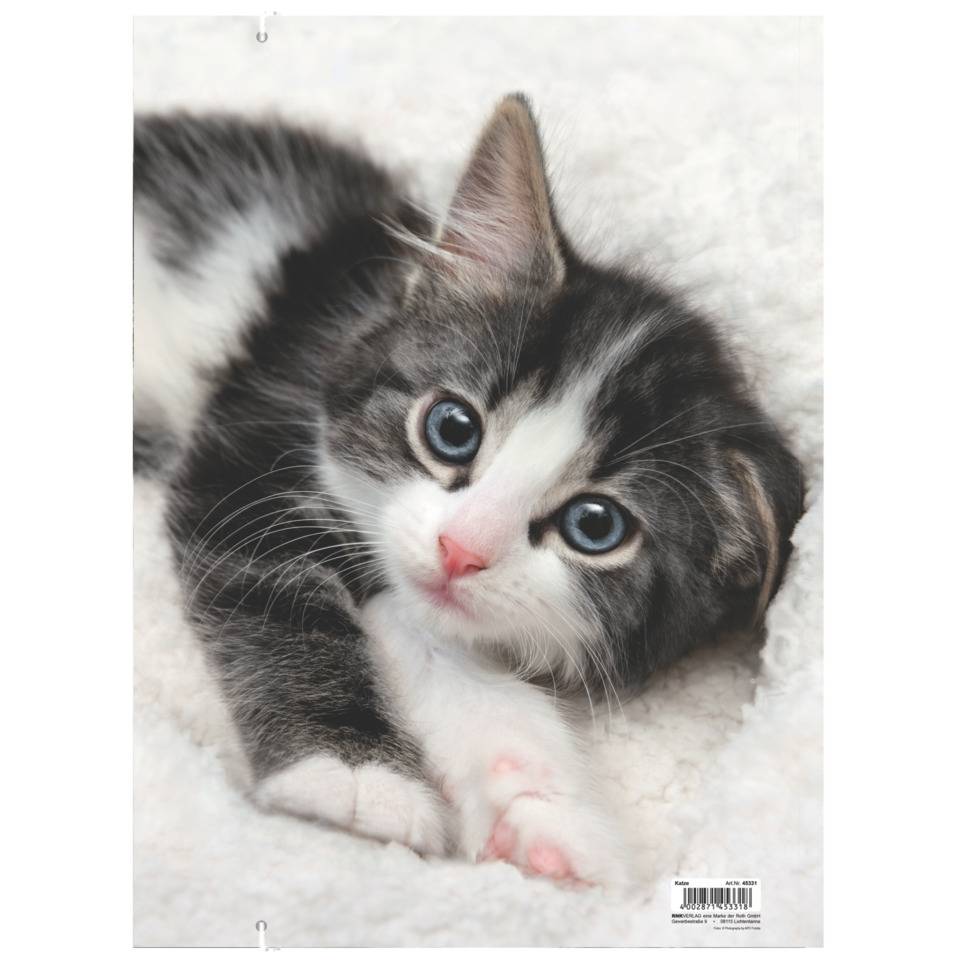 RNK Verlag Zeichnungsmappe "Katze", DIN A3 (6530406)-3