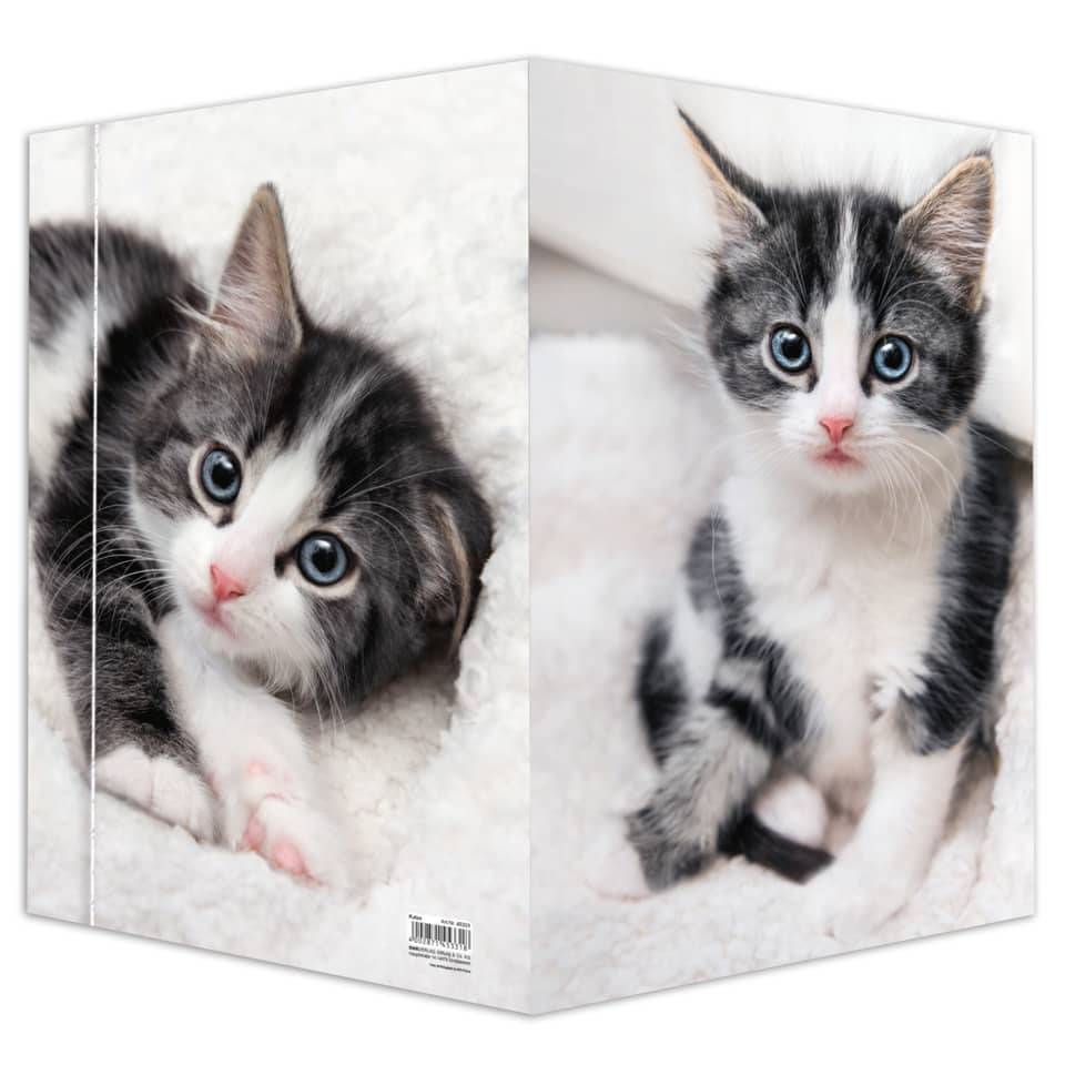 RNK Verlag Zeichnungsmappe "Katze", DIN A3 (6530406)-4