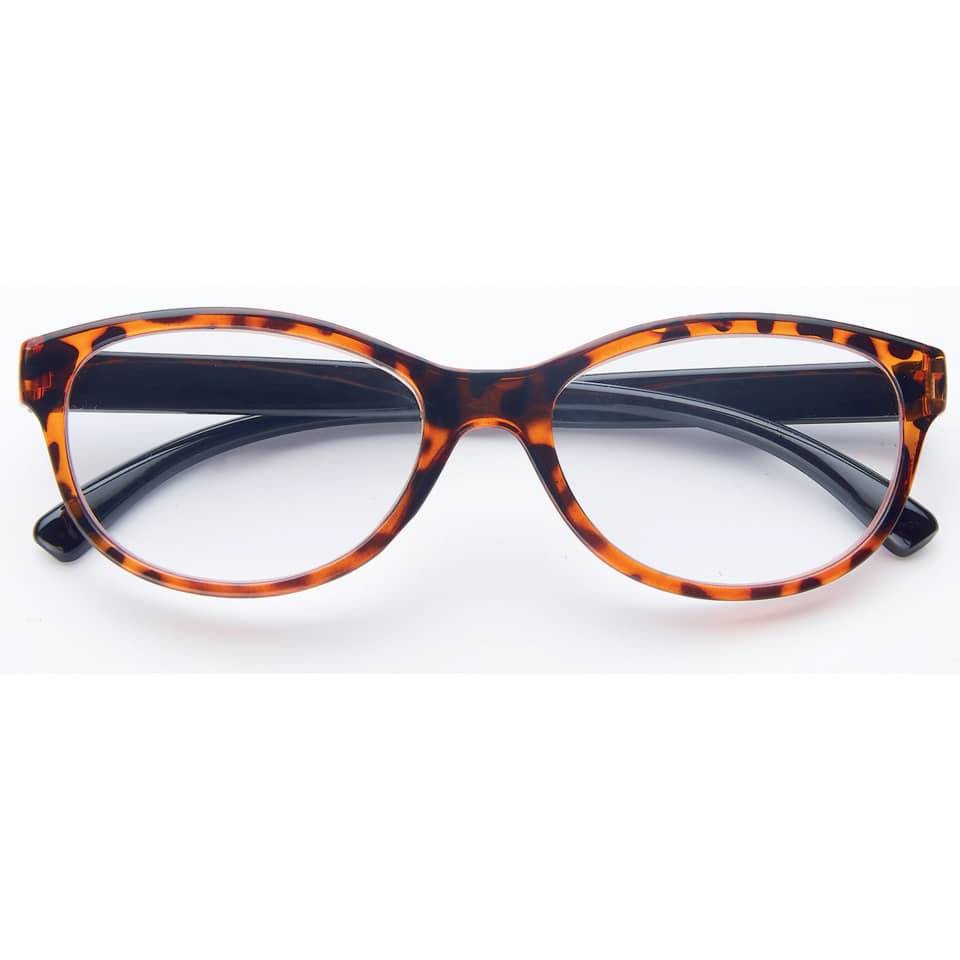 Lesebrille Champvision Classic 2.5 6-fach sortiert SKW 4-0