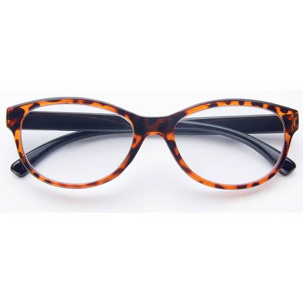 Lesebrille Champvision Classic 2.5 6-fach sortiert SKW 4