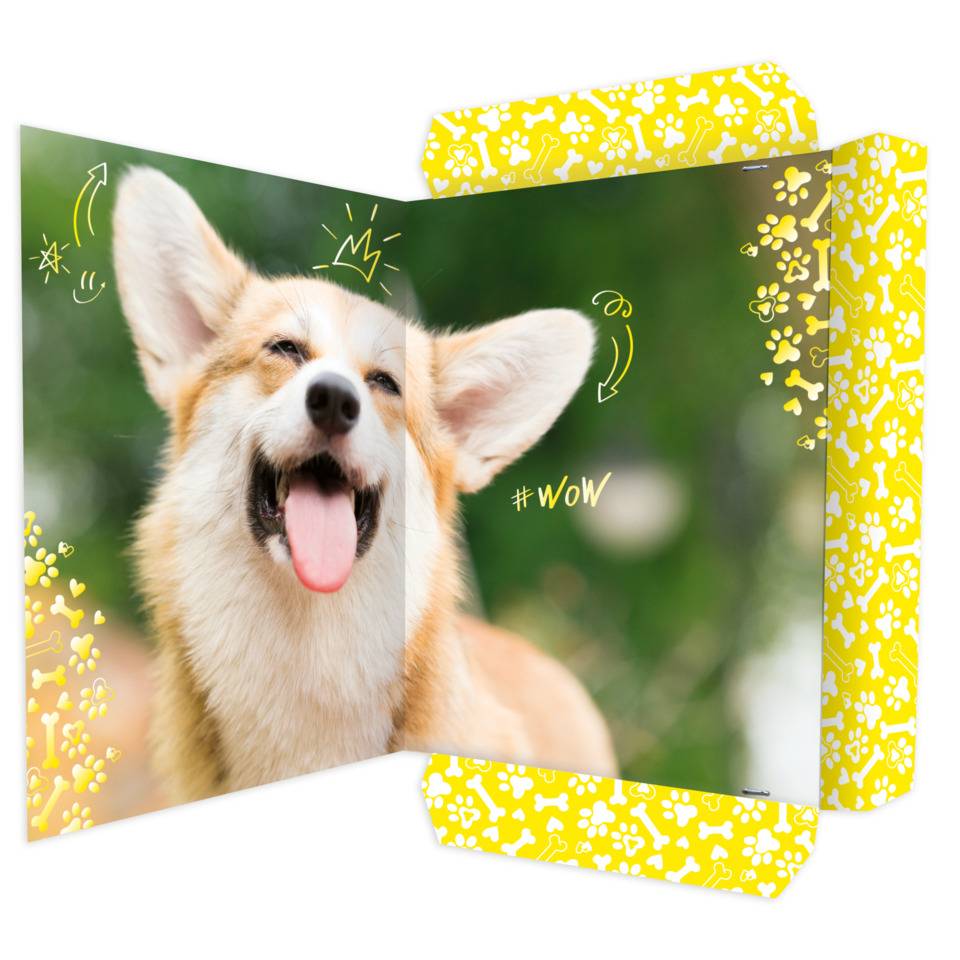 Gummizugmappe Corgi, 320 x 430 cm, A3 RNK 45382-1