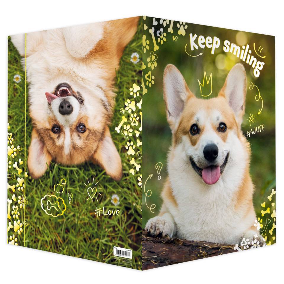 Gummizugmappe Corgi, 320 x 430 cm, A3 RNK 45382-2