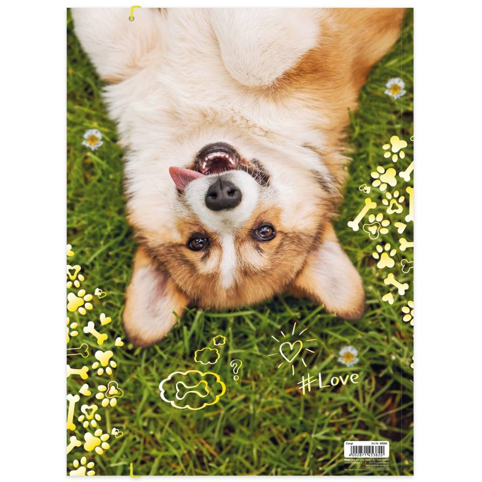 Gummizugmappe Corgi, 320 x 430 cm, A3 RNK 45382-3
