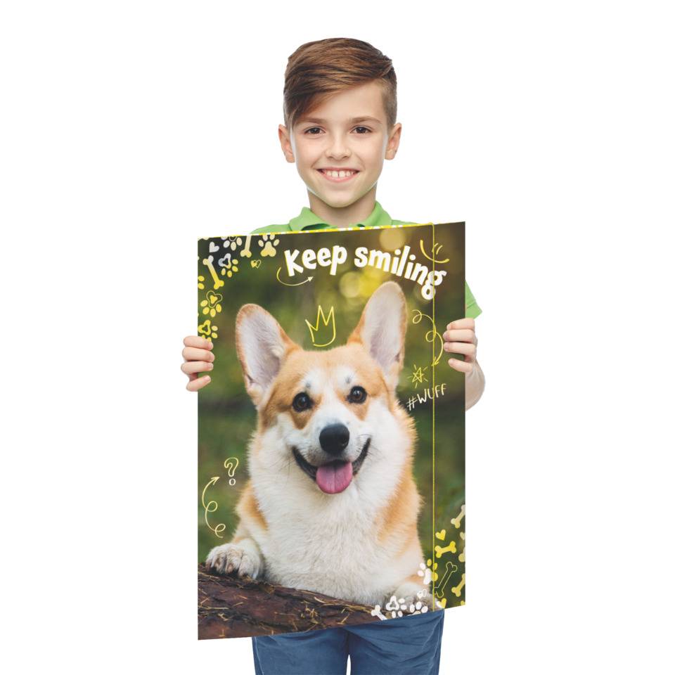 Gummizugmappe Corgi, 320 x 430 cm, A3 RNK 45382-4
