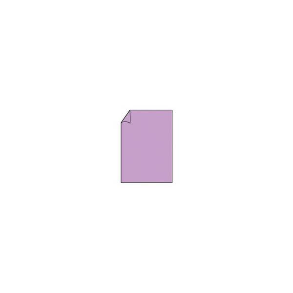 Blatt Paperado, A4, 100g/m², orchidee RÖSSLER 16400145