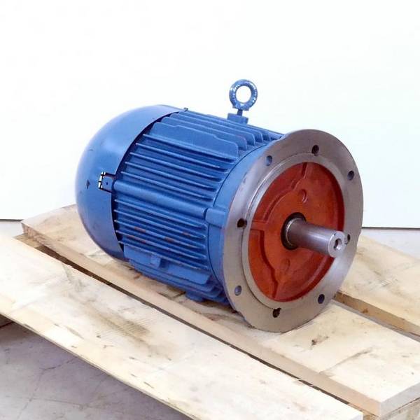 WEG Drehstrommotor W22 High Eff. (1023851274)