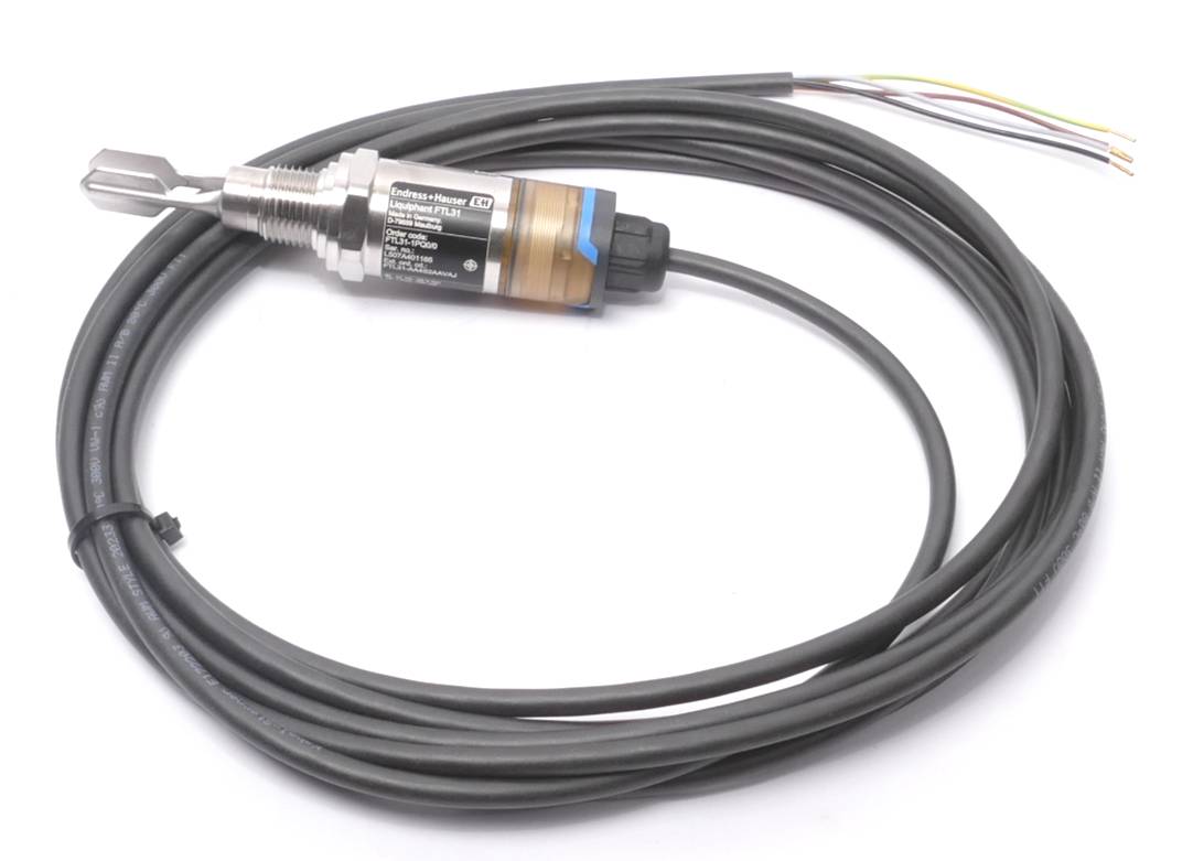 Endress+Hauser Endress + Hauser Liquiphant FTL31 Vibronik Grenzstanddetektion | FTL31-1PQ0/0 Endress + Hauser Liquiphant-3