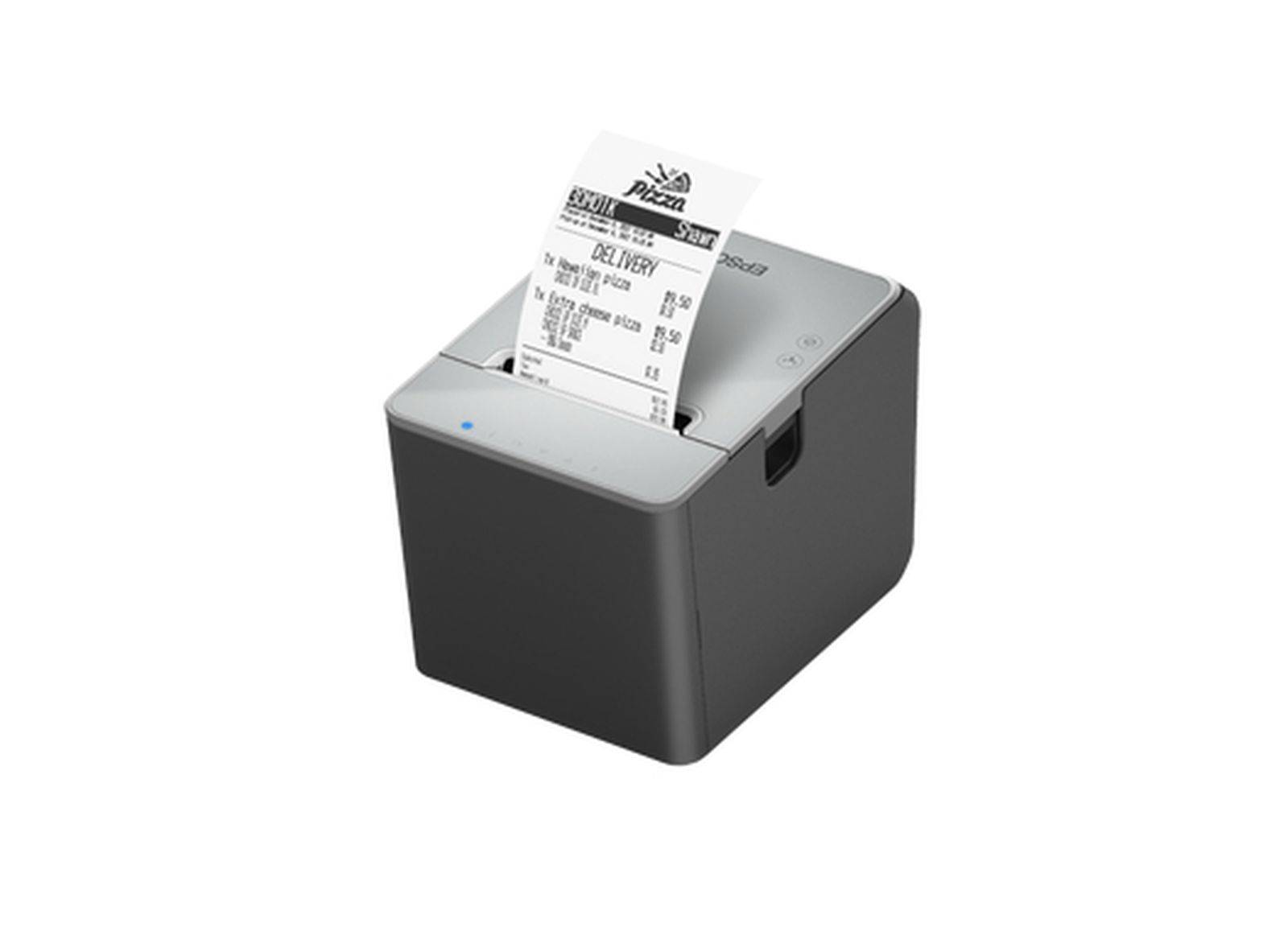 Epson TM L100 (103) - Belegdrucker - Thermozeile - Rolle (7,95 cm)-4