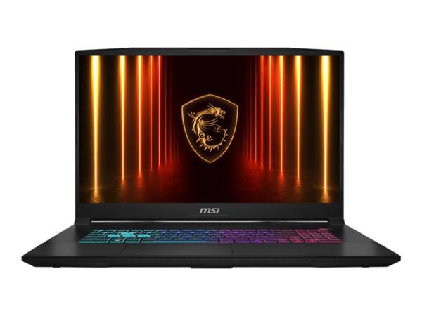 MSI Katana 17 HX B14WGK-065 - Intel Core i7 i7-14650HX / 2.2 GHz - Win 11 Home - GeForce RTX 5070 - 16 GB RAM - 1 TB SSD